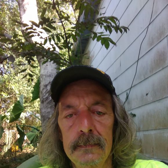 Meet your Posher, Curtis - Picture 1 of 1